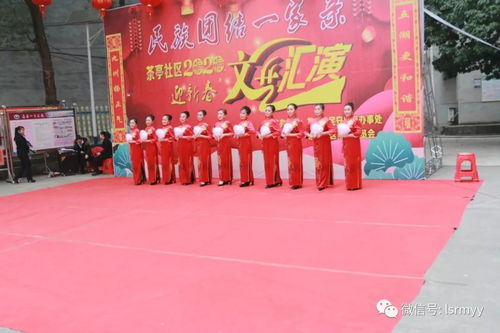 黨員文藝展風采 志愿服務暖人心——我院黨員志愿者社區(qū)文藝表演側(cè)記