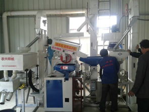 批發供應廠家直銷組合碾米機成套設備 價格、圖片與技術服務詳解